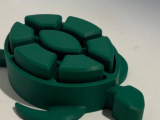 Clicky turtle-0