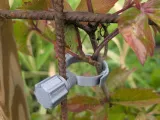 plant clamp-0