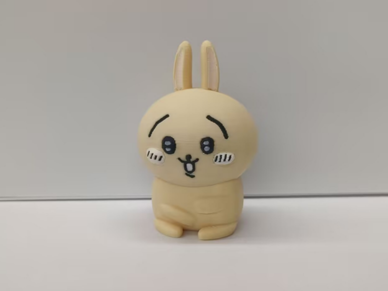 Home print settings: usagi.3mf