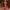 Cluedo 45 mm miniature : melle Rose / Miss Scarlet