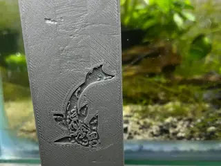 Pleco Fish Cave