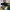 Rockler drill press fence to festool vac adapter