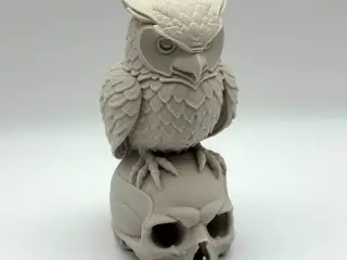 Owl on Skull