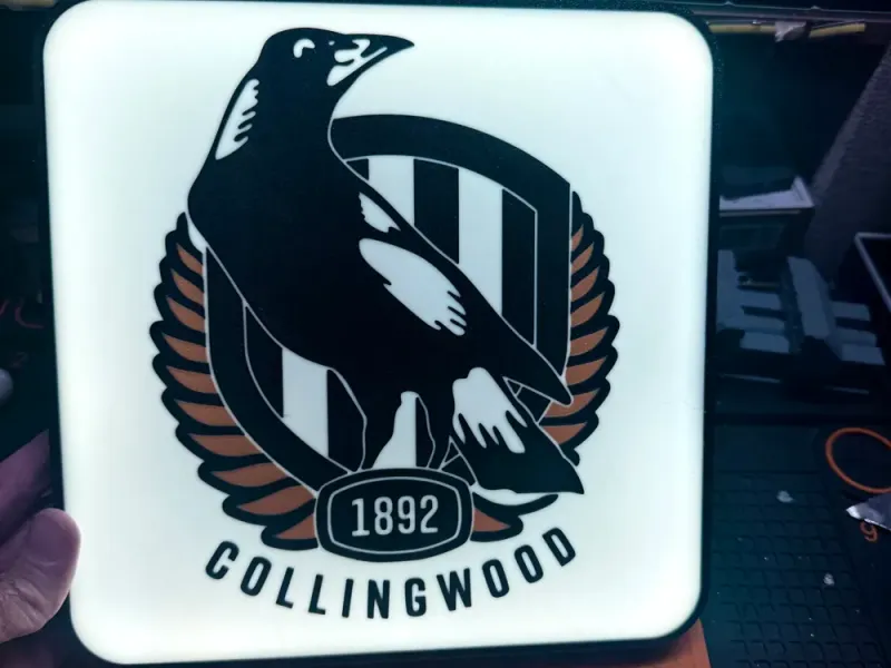 Collingwood Magpies bar/man cave light