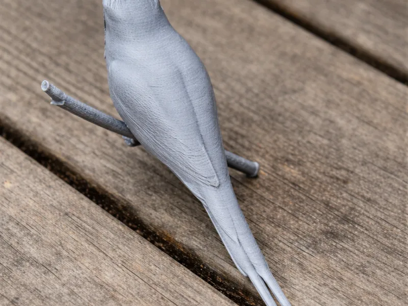 Ground Roller Bird