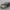 Toyota Supra DB42 2021