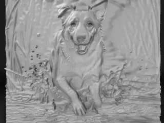 dog walking on water