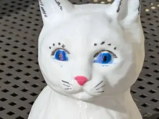 Cat white