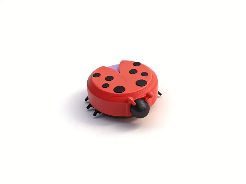 Caja de regalo para anillos creativa - Mariquita con cerradura