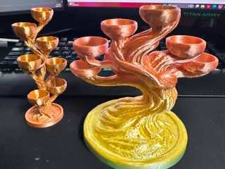 Bonsai money tree