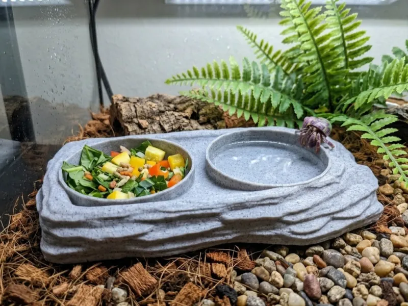Tigela de Alimentação para Caranguejo-Eremita