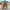 Puppyhuis in Europese stijl