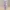 Sweetheart Lingerie — Plus Size