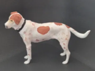 Pointer/American Foxhound