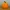 Twisted Jack-o'-Lantern