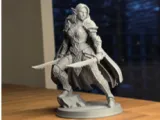 Warrior with two swords-0