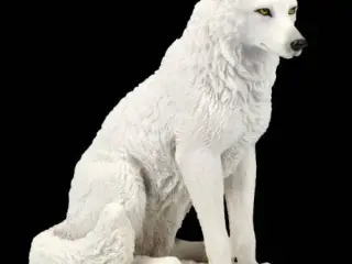 lobo