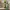 Shrek blocks