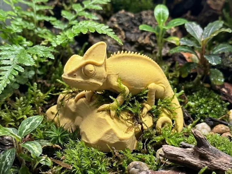 变色龙