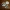 RoundTackle – Dedicated Bobber variants