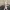 バニーゾンビ