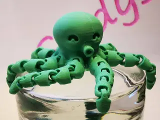 Cute Mini Octopus 