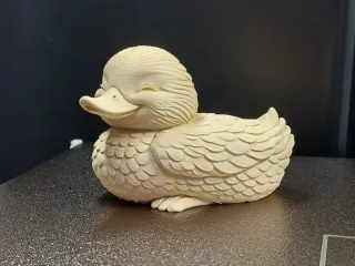 Gentle Little Duck