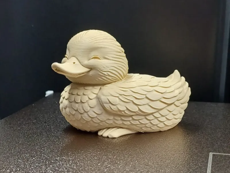 Gentle Little Duck