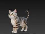 cat 3-0