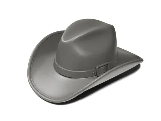 Western hat