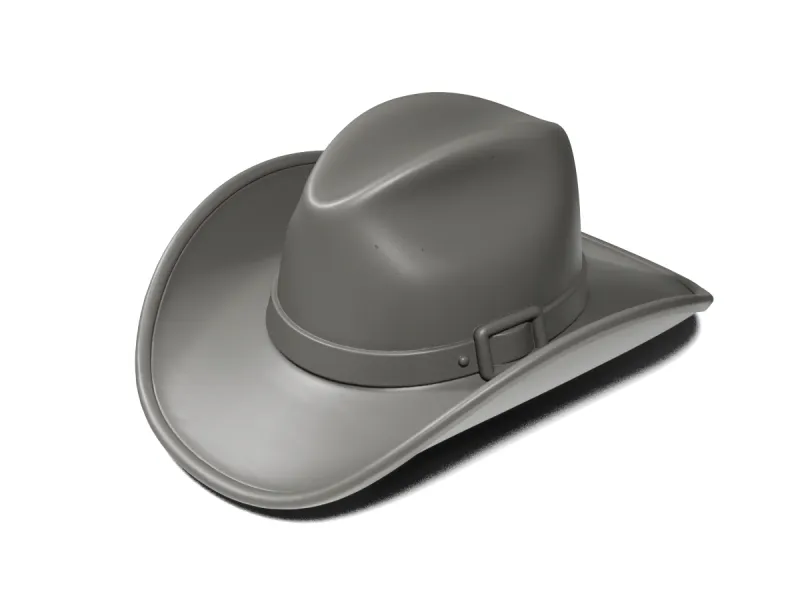 Western hat