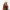 Rendier