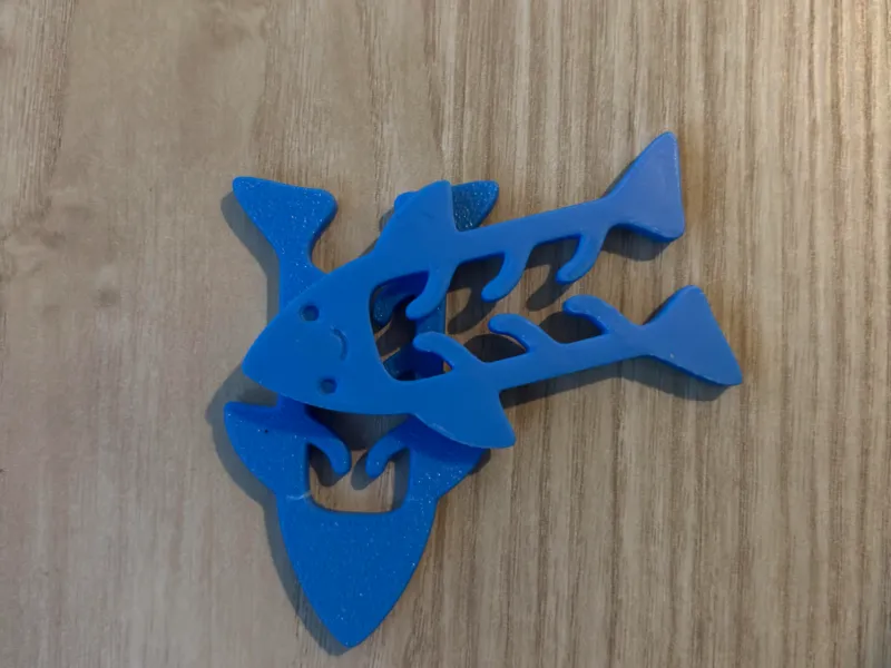Shark_Rounded_FINAL