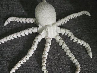 Octopus 2.0