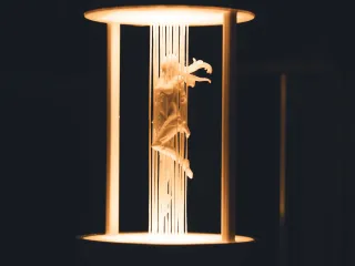 Akane - Suspended String Lamp