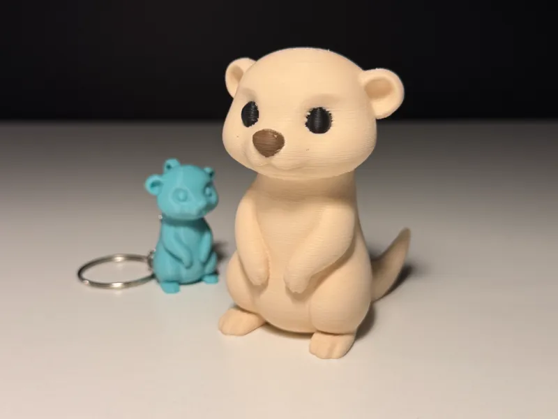 Adorable suricate