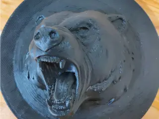 Roaring Bear
