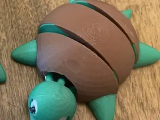 Articulated Baby Turtle