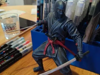 ninja furtif
