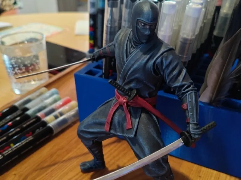 ninja sigiloso