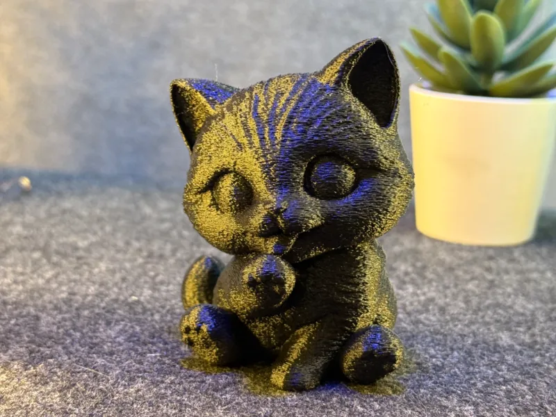 Cute Kitten