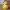 duck christmas deco