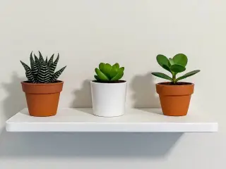 Floating Shelf