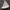 Small Sailboat