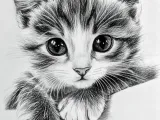 PrettyKitty-0