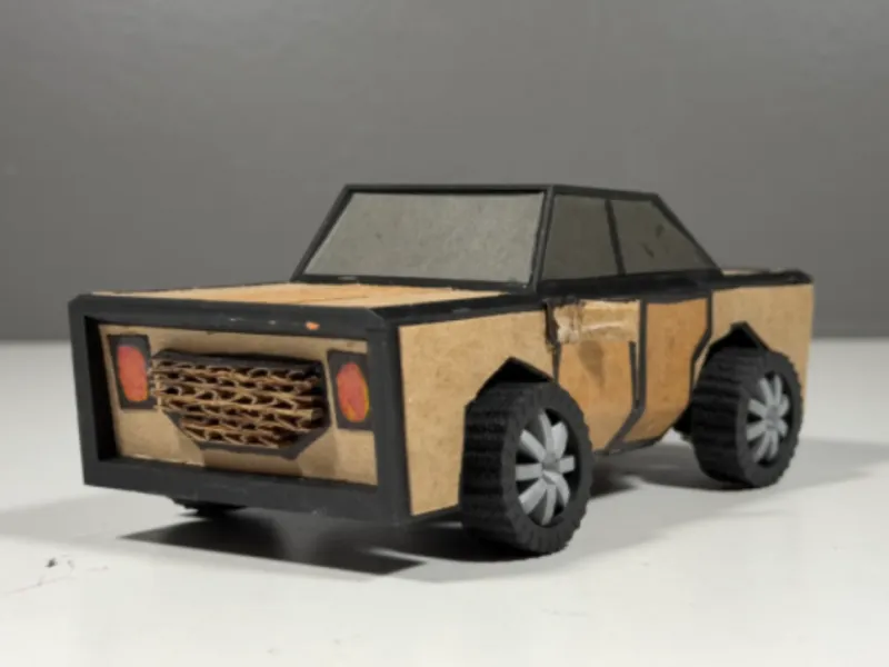 The cardboard