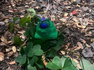 Snorlax Gift