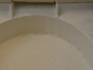pet feeder