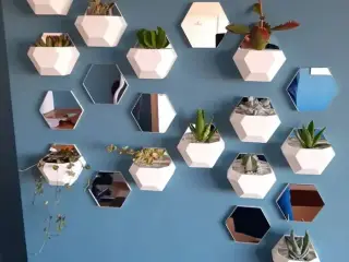 hex wall hanging planters