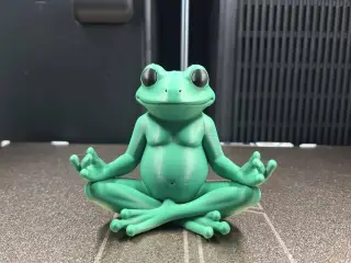 Zen Frog